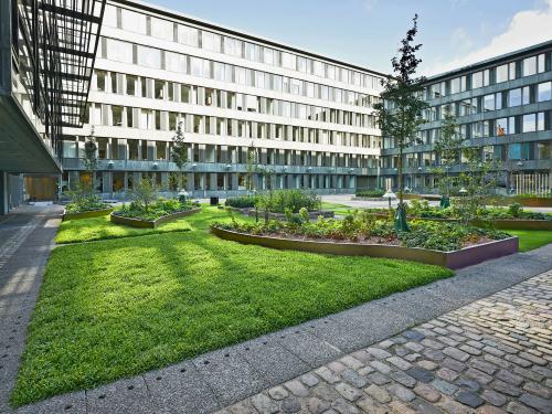 Courtyard with walking areas, lawn and plant beds with shrubs and small trees